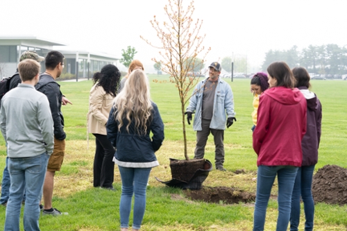 treeplanting1