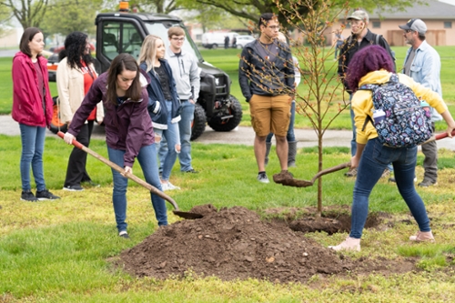 treeplanting2