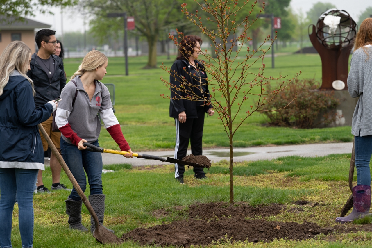 ArborDay